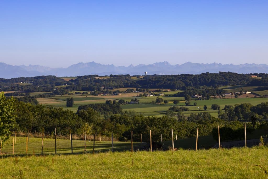 paysage coteaux Béarn Madiran