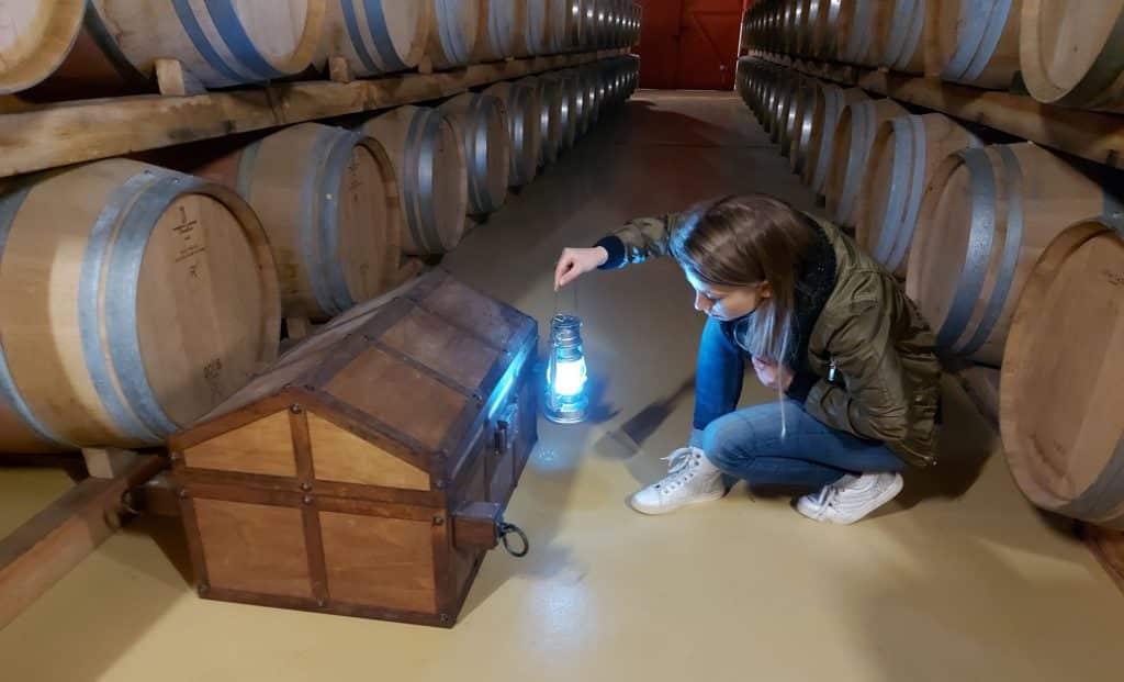 expériences œnotourisme Madiran Pacherenc Béarn