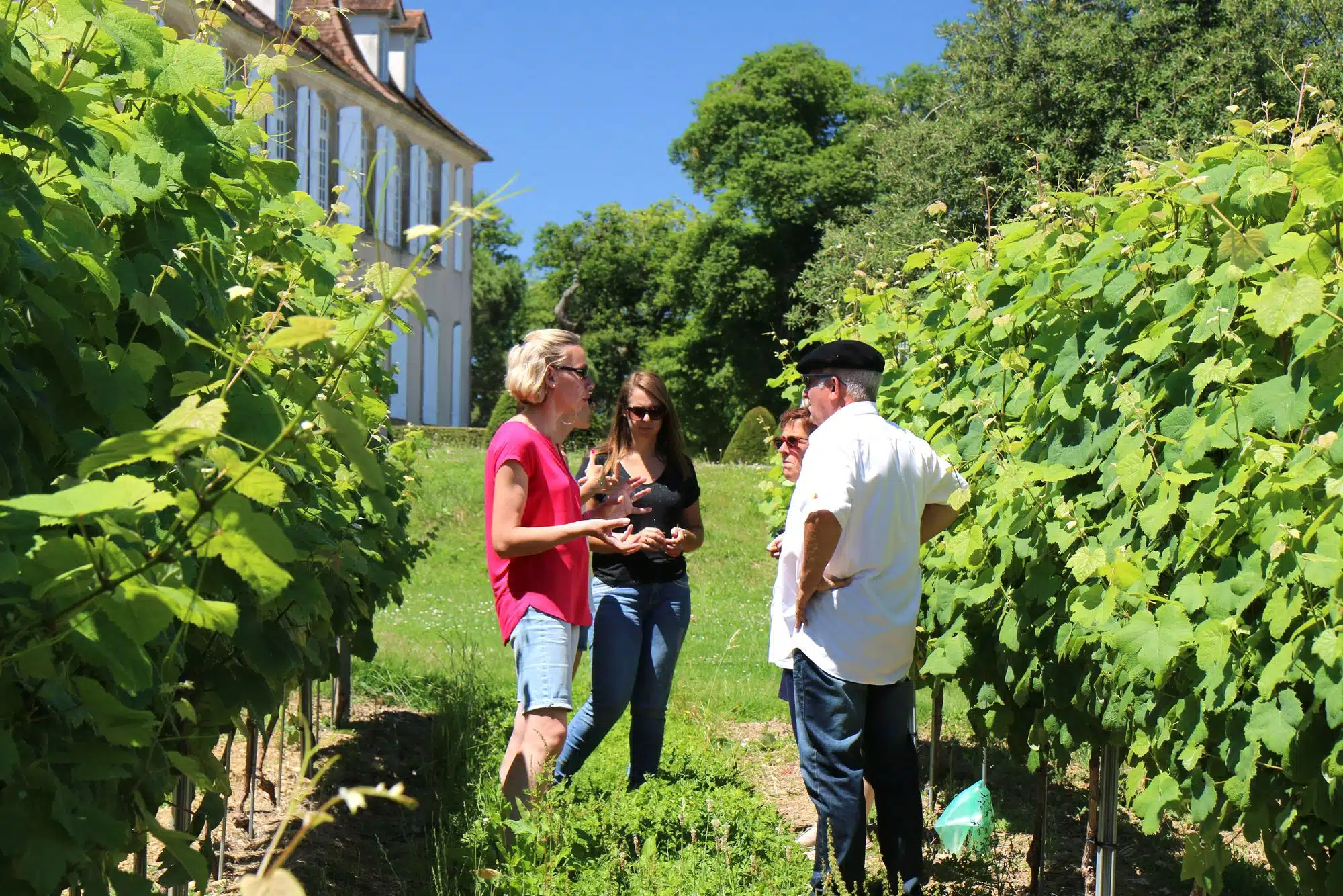 Château Crouseilles animations vins Madiran Pacherenc