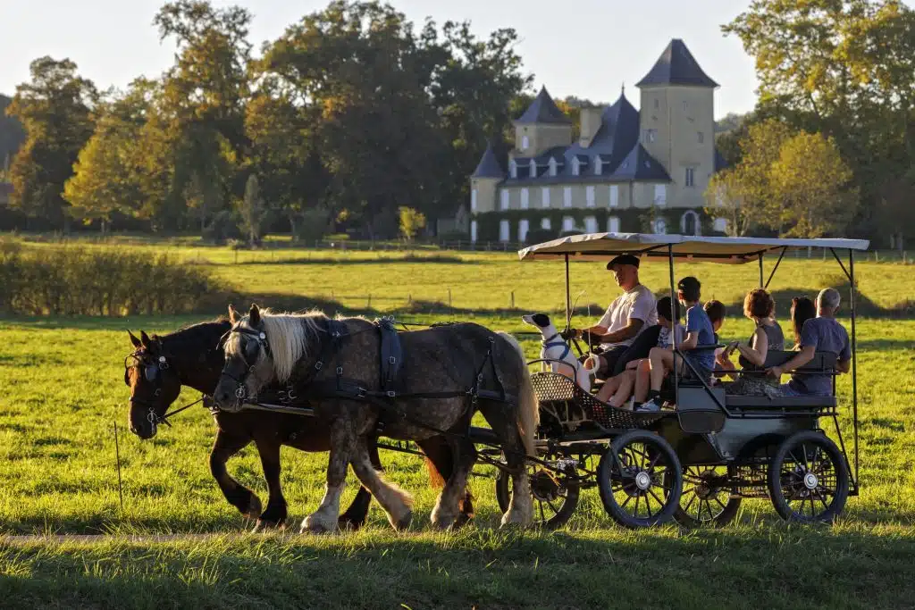 balade calèche chevaux Béarn Madiran