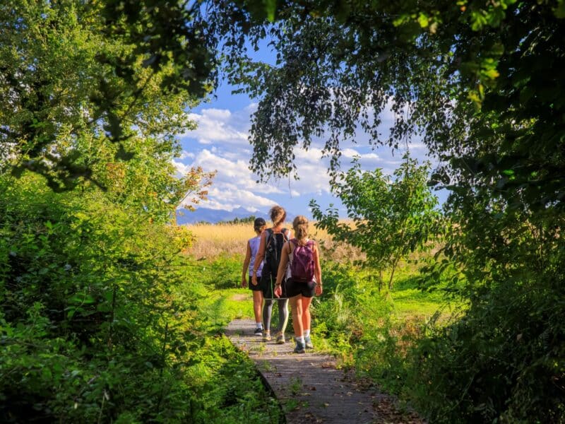 Serres-Castet banks Arlas nature walk