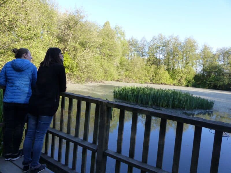 Nature walks tourism Béarn Madiran