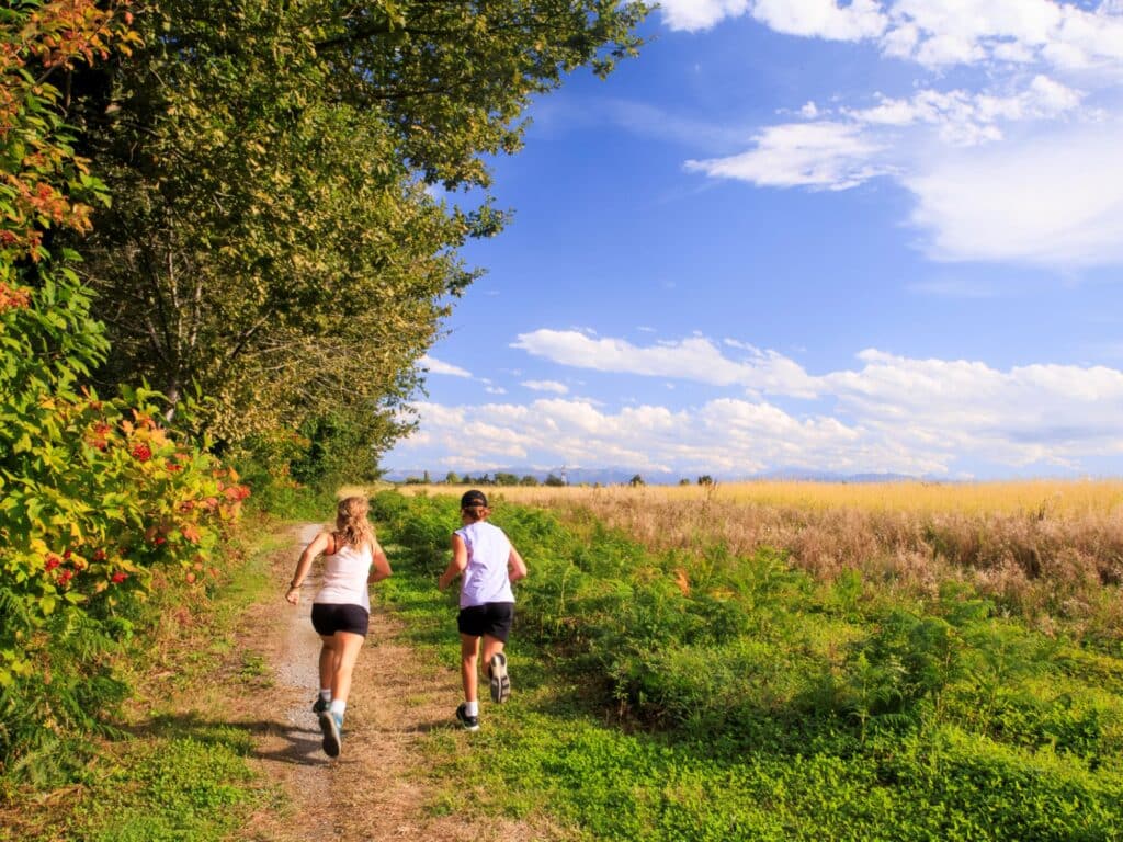 terrain de jeux loisirs tourisme Béarn Madiran