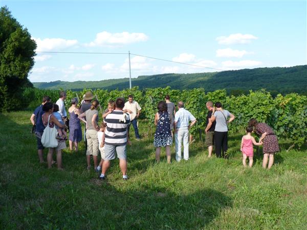 Apéritif vigneron - Clos Basté - Moncaup cph SMT Nord Béarn