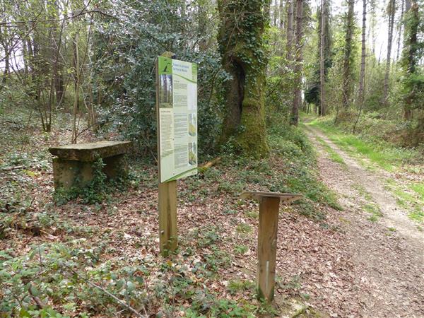 Ouillon, bois et station rando dessin chemin des bergers randonnée vtt