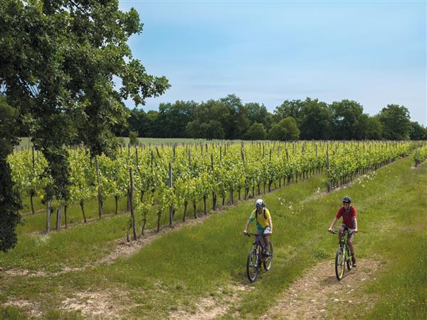 Aydie randonnée VTT @ Peio Gaillard (2)