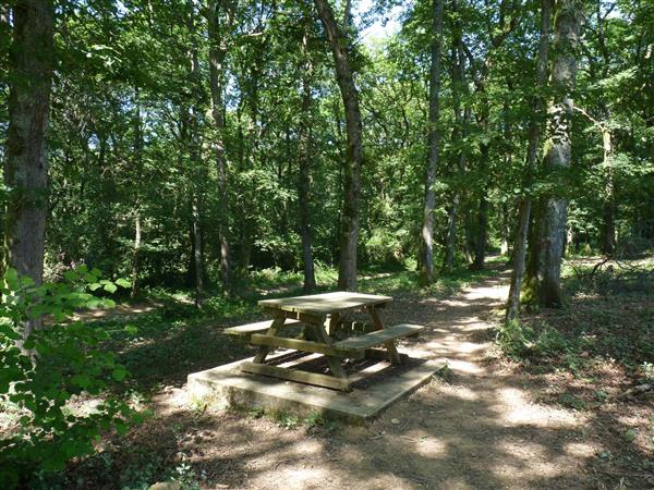 Bois de Sauvagnon - cph SMT Nord Béarn