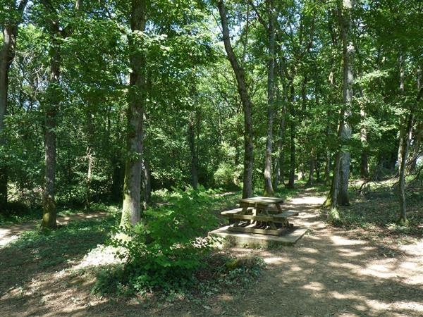 Bois de Sauvagnon Tourisme Nord béarn cph smt nb