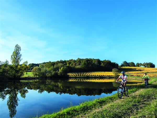 Cadillon : entre crêtes et vignoble à VTT Cadillon : entre crêtes et vignoble à VTT