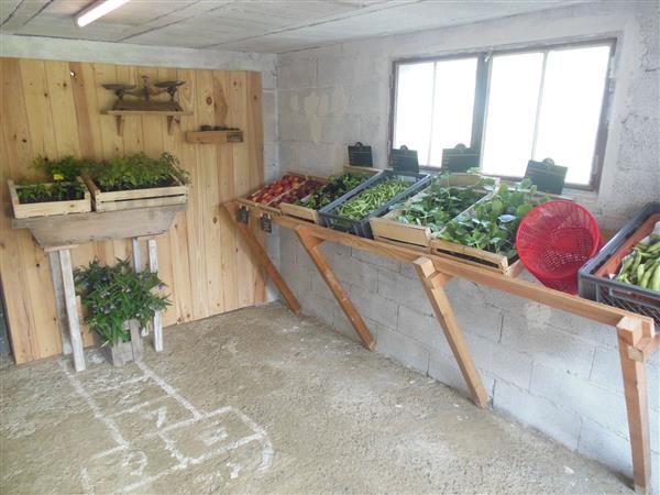 Crouseilles Maraîchage du Bergons crédit SMT (1)