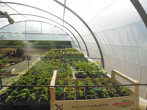 Crouseilles Maraîchage du Bergons crédit SMT (5)