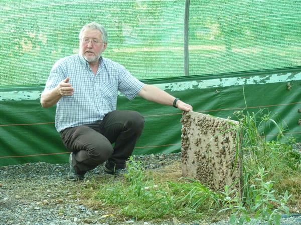 Ferme aux escargots Routis