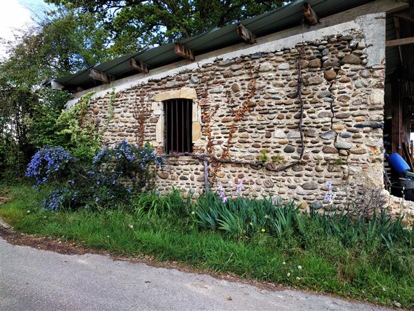 Gabaston randonnée pédestre les Artigues  (14)