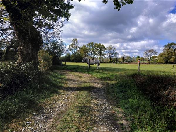 Gabaston randonnée pédestre les Artigues  (3)