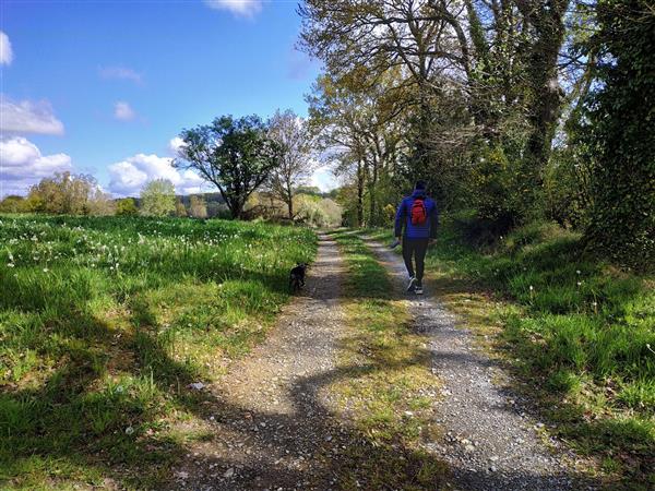Gabaston randonnée pédestre les Artigues (6)