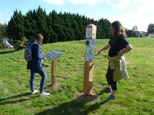 La zone humide de Loumagne