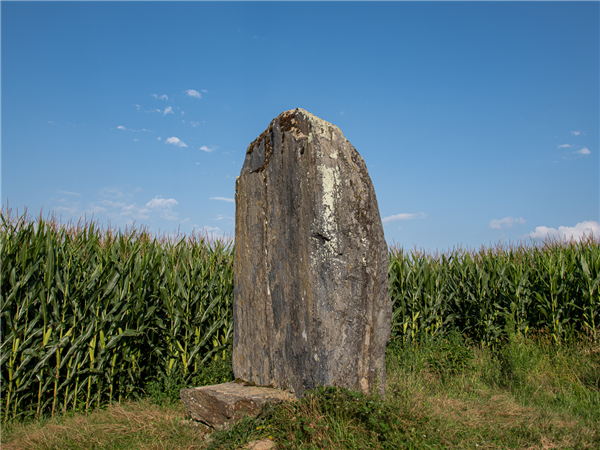 Lourenties Le plateau du Louet à VTT Ger menhir