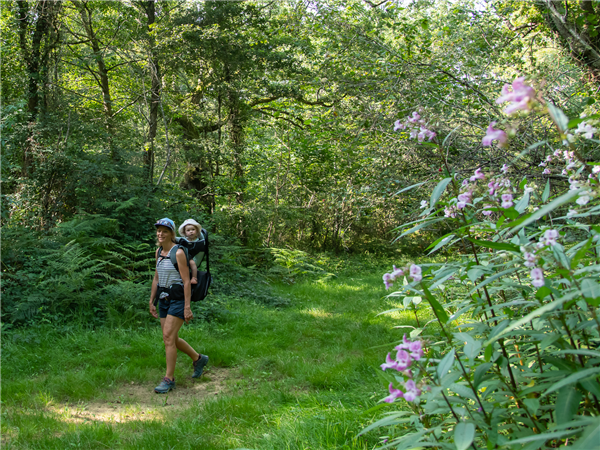 Ger randonnée pédestre bois de Poey (1)