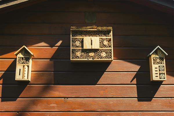 Journée enfants sans écran