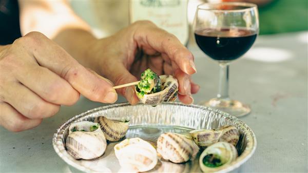 MMALVEZIN Lannecaube ferme escargots©MMALVEZIN (65)