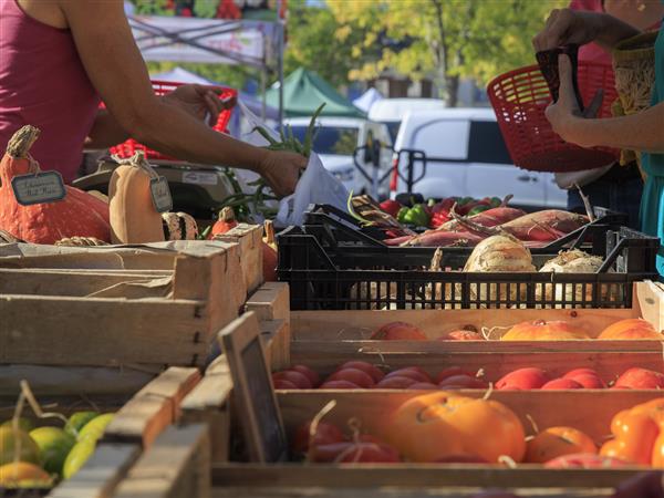 Pontacq marché et stand tourisme et loisirs coteaux Béarn Madiran 23 mai 2026