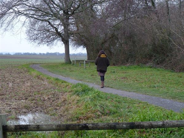 Les Marlères 2 - Montardon - cph SMT NB