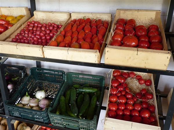 Mont-Disse Brin d'herbe cph SMT 2013 (1)