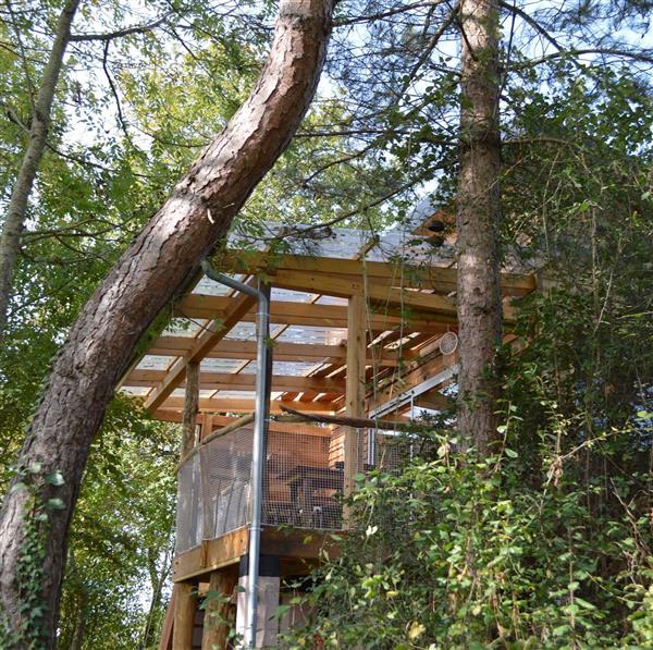 Morlanne cabane aux arbres tordus crédit Pantaléone (10)