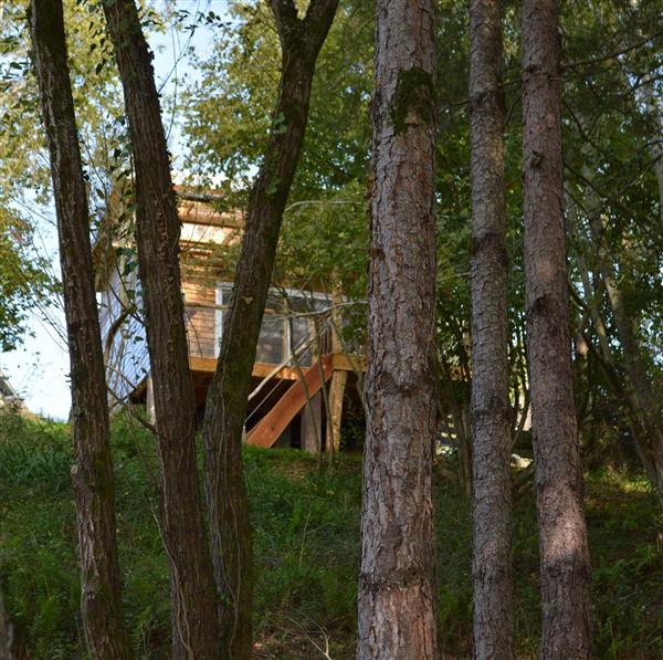 Morlanne cabane aux arbres tordus crédit Pantaléone (9)