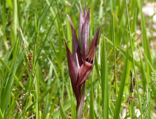 P1000362 - Copie - Copie