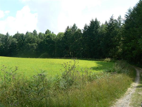 Abère randonnée belvedere du  Lées