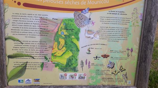 Panneau orchidées Castetpugon credit tourisme nord bearn madiran (1)