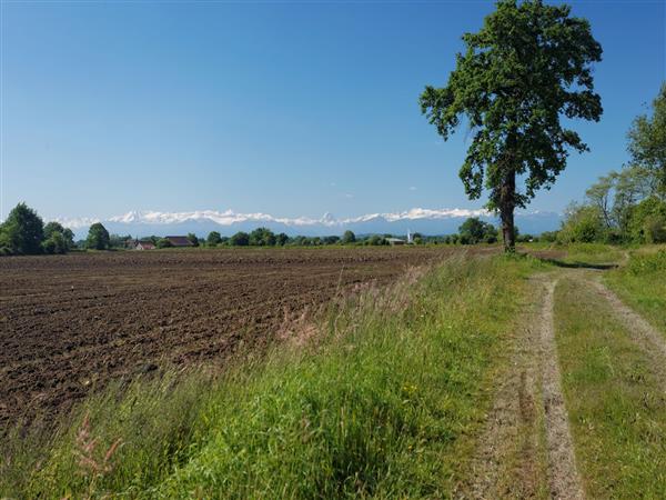 Rando Dans la plaine du Pont Long CPH CCLB64 Tourisme en Nord béarn