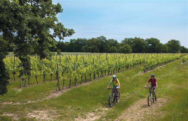 Randonnée VTT boucle 1 Entre crêtes et vignoble - Conchez-de-Béarn- cph Peio Montamigo