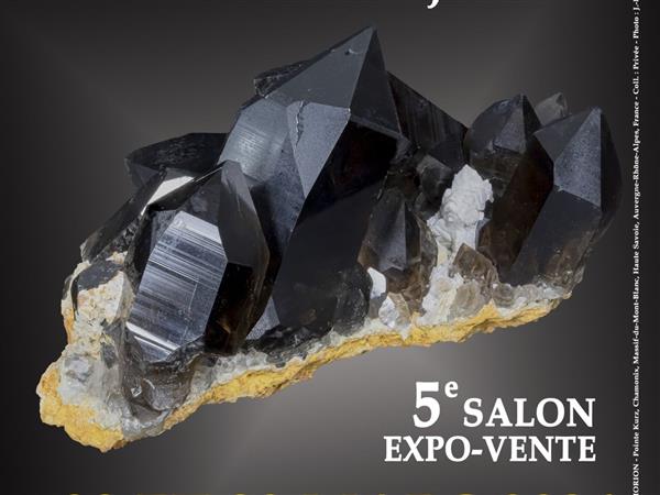 Salon Minéraux Fossiles Bijoux