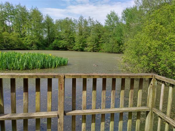 Serres Castet berges de l'Arlas et du Luy 