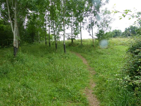 Serres-Castet rando balade collines lac tourisme bearn madiran (209)