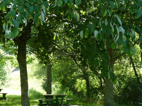 lac Thèze tourisme Nord Béarn 5