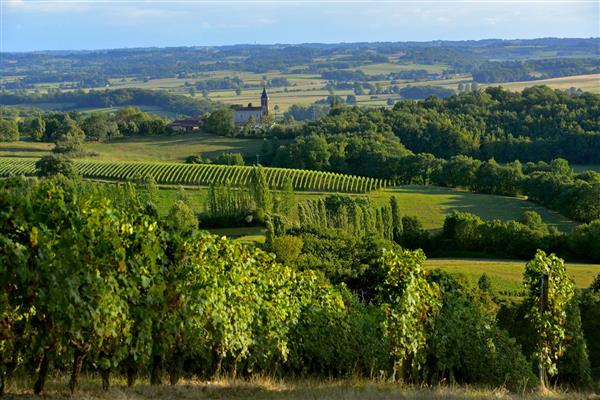 vignoble Madiran pacherenc